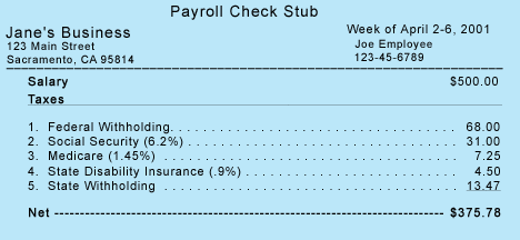 pay stub records