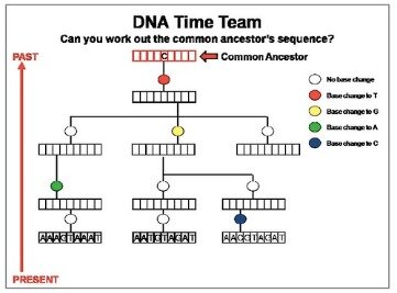 evolution of work